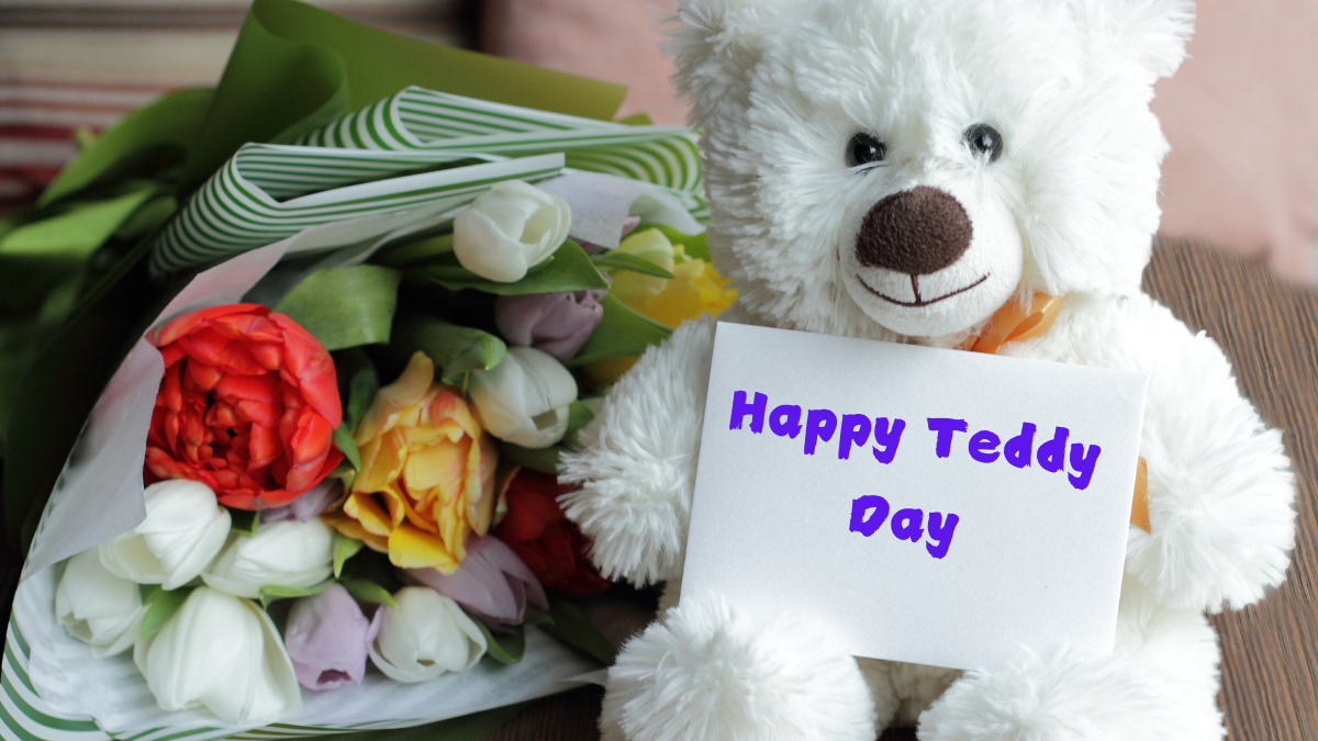 Teddy Day Quotes
