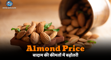Almond Price