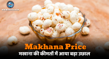 Makhana Price