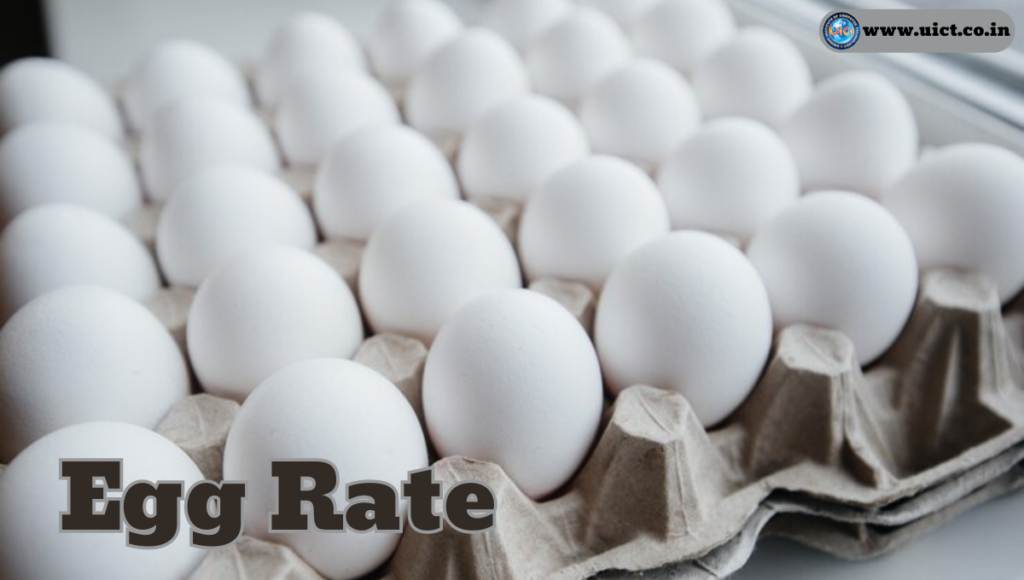 Egg Rate