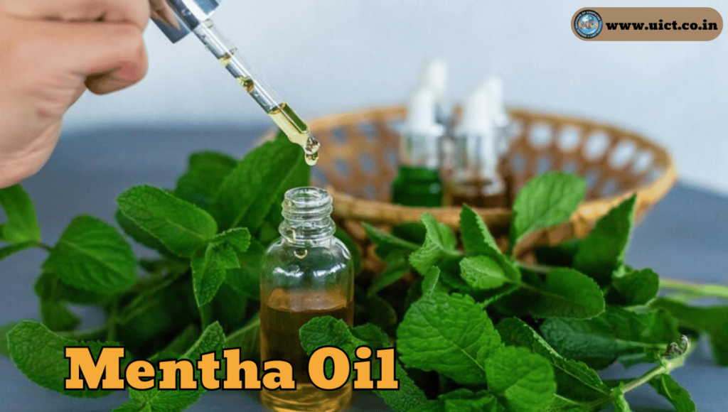Mentha Oil Rate