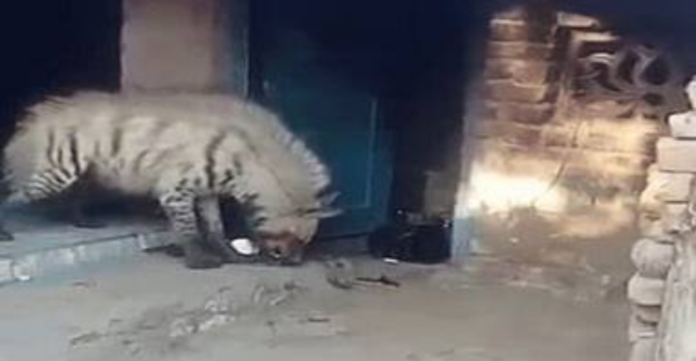 राजस्थान भयानक तस्वीर