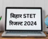 Bihar STET Result 2024 Out: यहां देखें बिहार शिक्षक पात्रता परीक्षा का रिजल्ट, bsebstet2024.com पर जारी