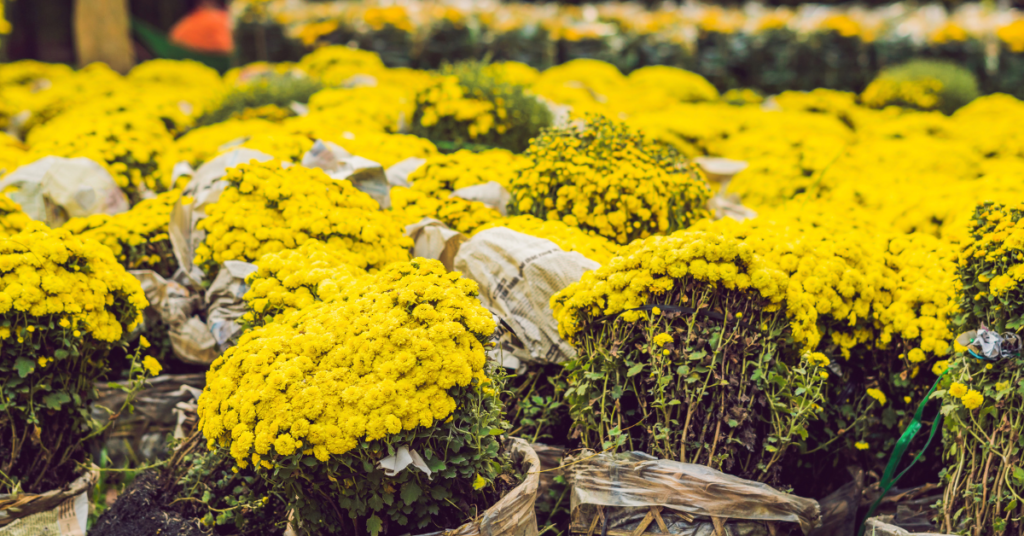 Beautiful happy new year flowers