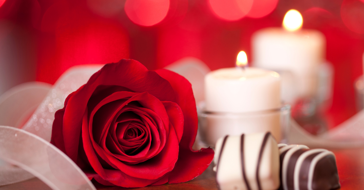 Rose Day 2025