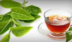 Uses of Guava Leaves