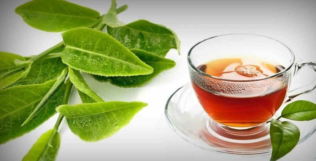 Uses of Guava Leaves