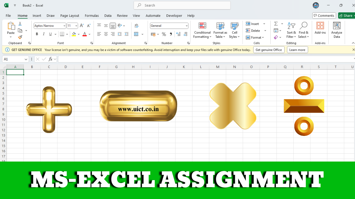 MS Excel Assignment