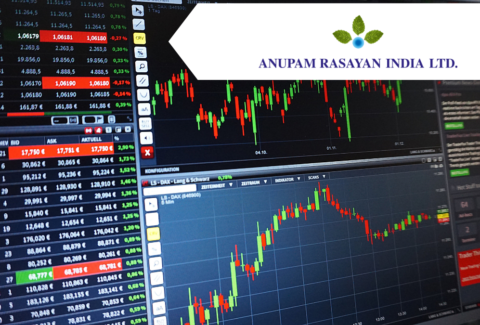 Anupam Rasayan Share Price