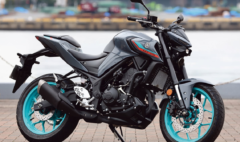 MT25