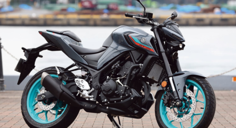MT25