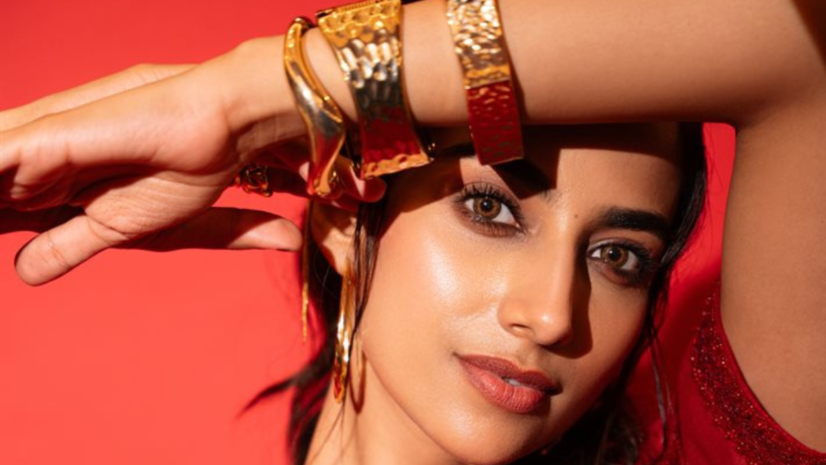 Meenakshi Chaudhary : की नेटवर्थ 15–40 करोड़