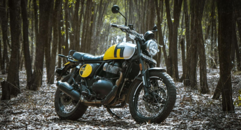 Bear 650