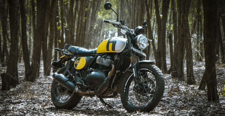 Bear 650