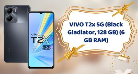 Vivo T2X 5G