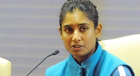 गूगल जेमिनी पिच विश्लेषण