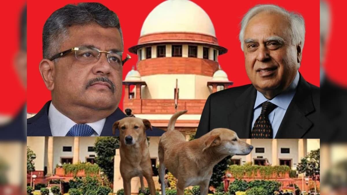 आवारा कुत्ते मामला सुप्रीम कोर्ट