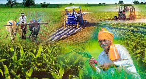 यूपी के किसानों के लिए अलर्ट