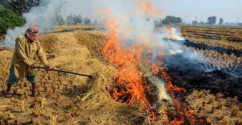 यूपी पराली जलाने पर गिरफ्तारी