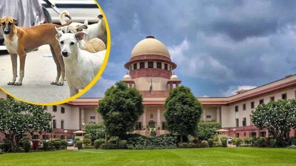 सुप्रीम कोर्ट आवारा कुत्ते मामला