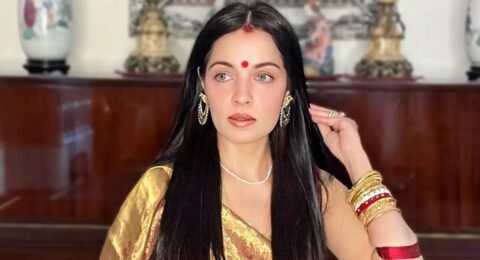 सेलिना जेटली घरेलू हिंसा मामला
