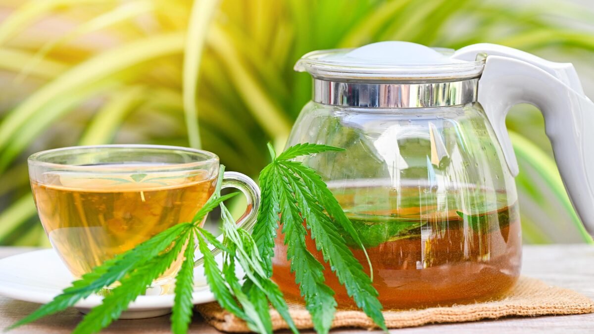 हेम्प कानून 2026