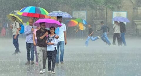 IMD राख बादल अलर्ट