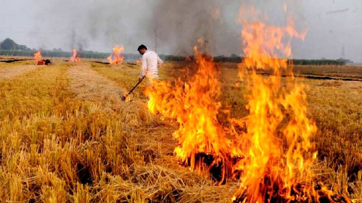 यूपी पराली जलाने पर गिरफ्तारी
