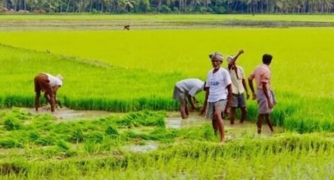 बिहार विधानसभा चुनाव किसान