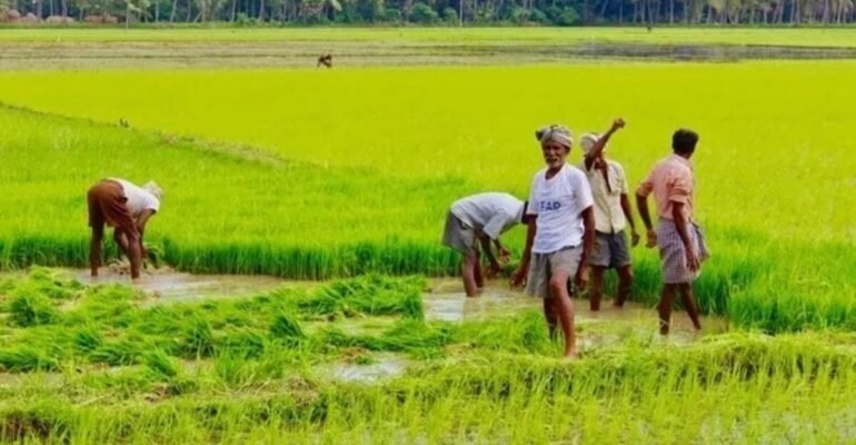 बिहार विधानसभा चुनाव किसान