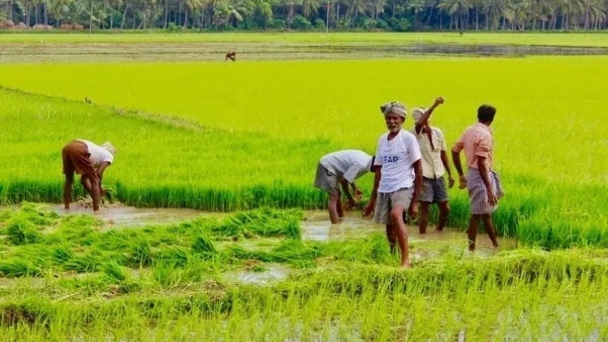 बिहार विधानसभा चुनाव किसान