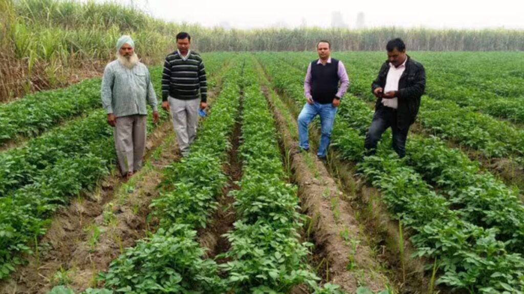 बिहार किसान फसल नुकसान