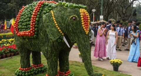 Cubbon Park Flower