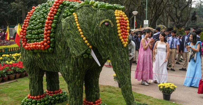 Cubbon Park Flower