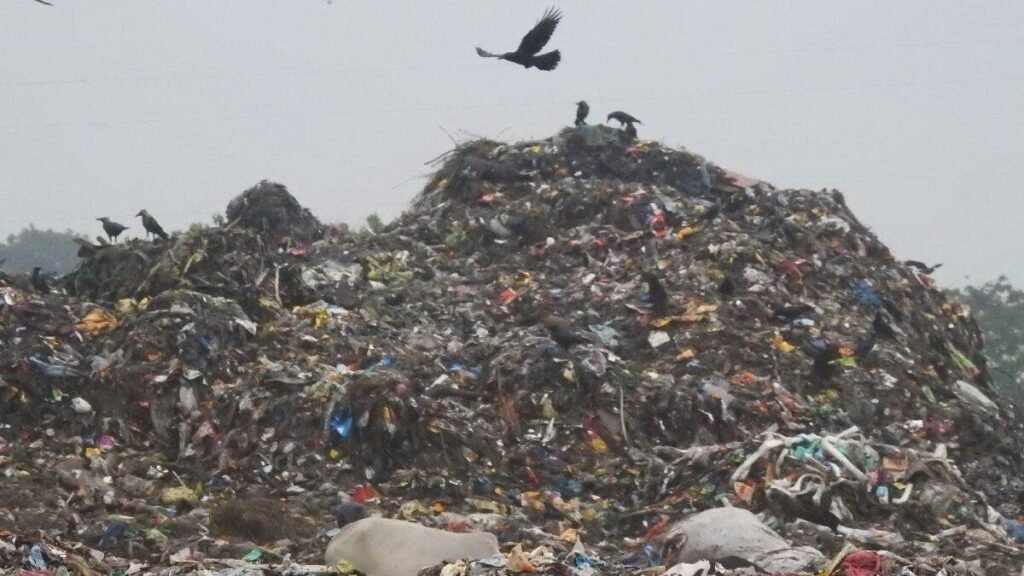 बरेली: सालिड वेस्ट मैनेजमेंट प्लांट की निविदा में देरी से नाराज शासन ने दिए नए चेयरमैन की नियुक्ति के आदेश