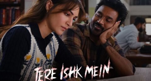 Tere Ishk Mein Box Office