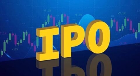 विद्या वायर्स IPO 2025