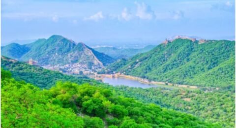 हरियाणा सरकार