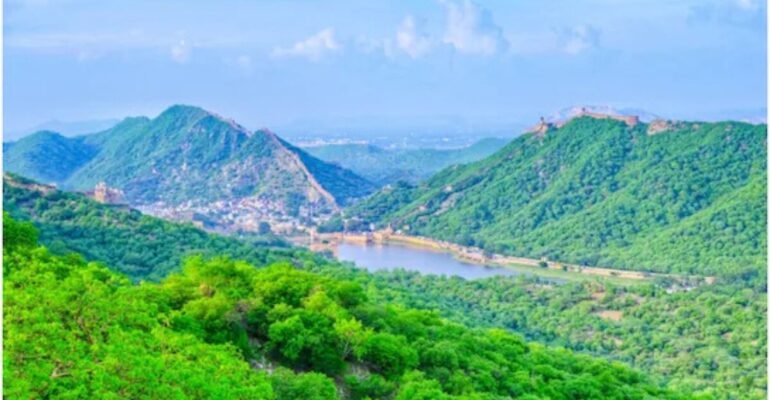 हरियाणा सरकार