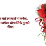 Rose Day Wishes for Wife