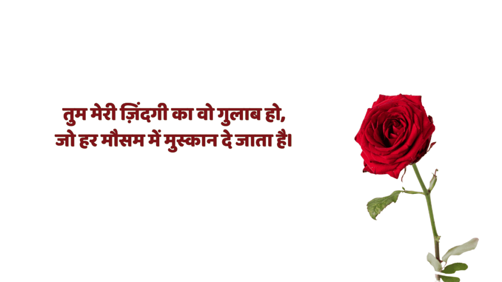 Rose Day Wishes for Wife