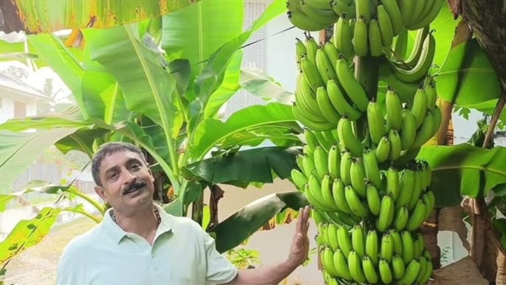 मोनू वर्गीज मैमेन