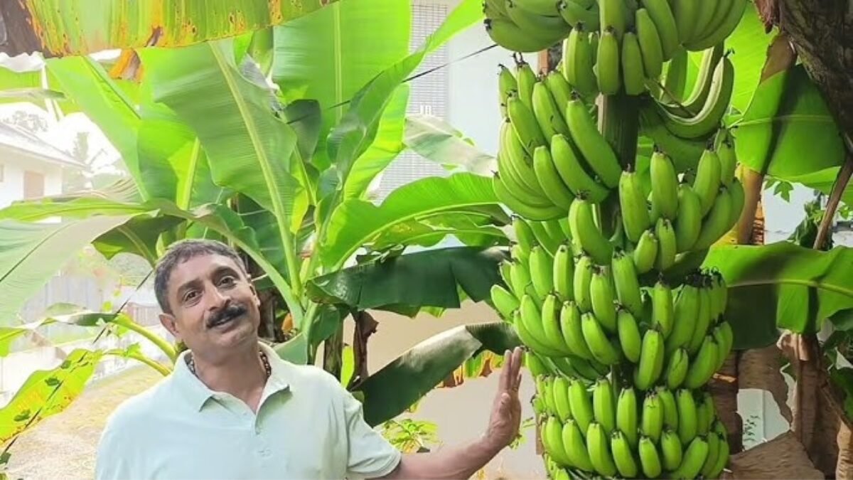 मोनू वर्गीज मैमेन