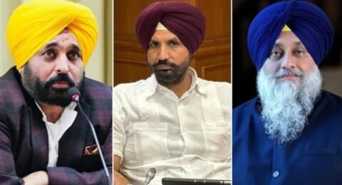 पंजाब जिला परिषद