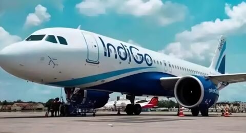 IndiGo live status
