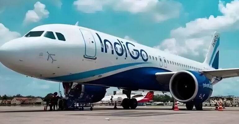 IndiGo live status