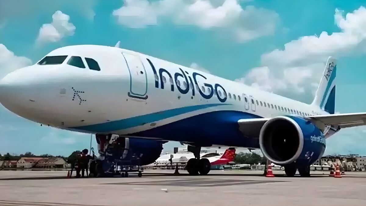 IndiGo live status