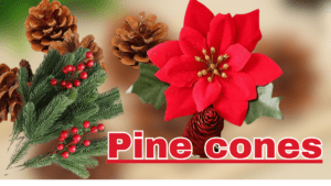 Pine cones ka close up view jo pine tree par lage hue hain