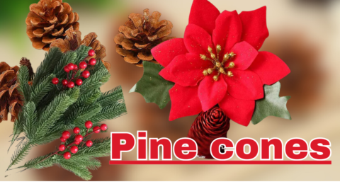 Pine cones ka close up view jo pine tree par lage hue hain