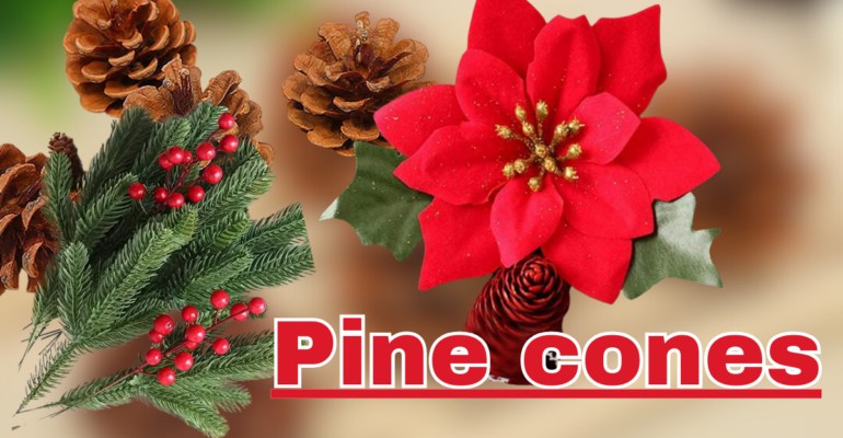 Pine cones ka close up view jo pine tree par lage hue hain